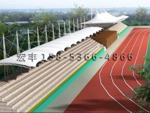 體育場(chǎng)館及看臺(tái)